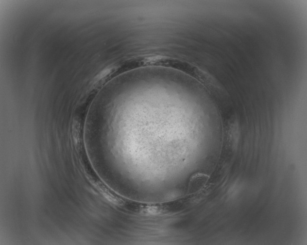 X0000081420565200701121239