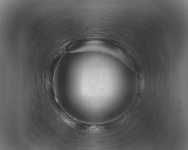 X0000081420566200701121239