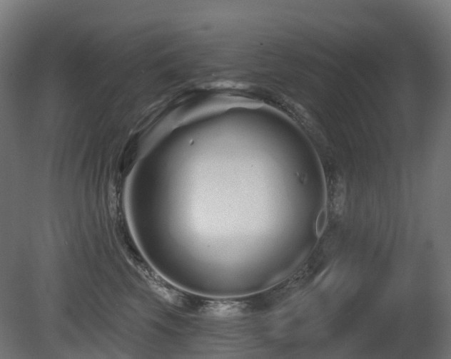 X0000081420569200701121239