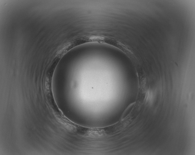 X0000081420571200701121239