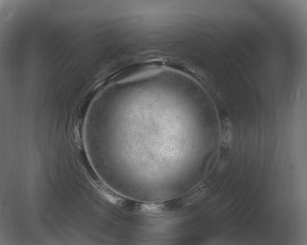 X0000081420573200701121239