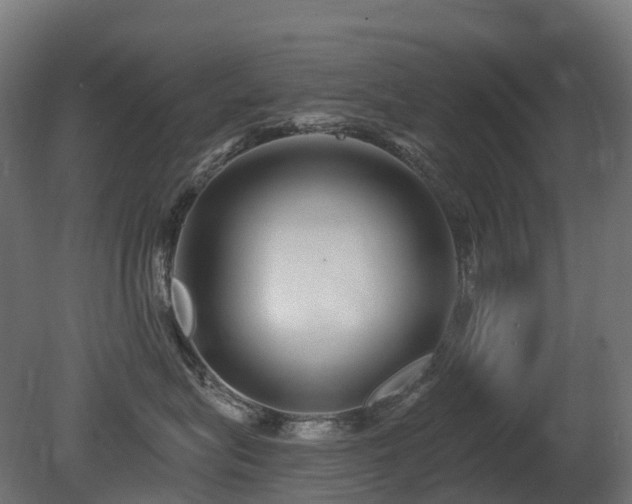 X0000081420575200701121239