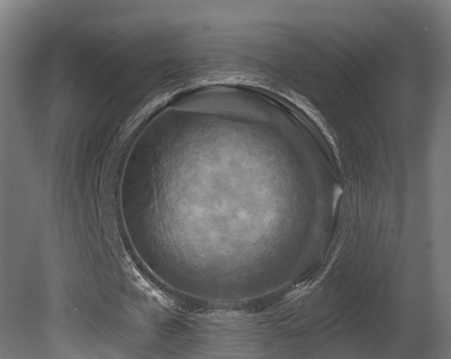 X0000081420577200701121238