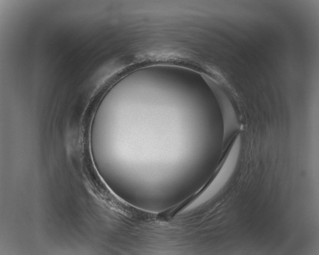X0000081420583200701121238