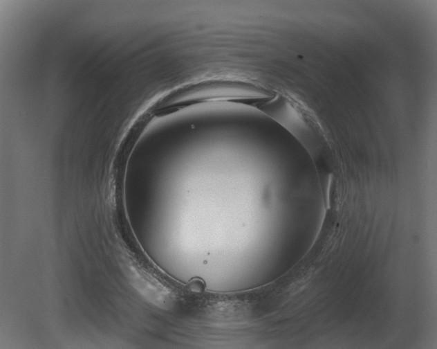 X0000081420584200701121238