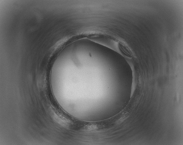 X0000081420588200701121238