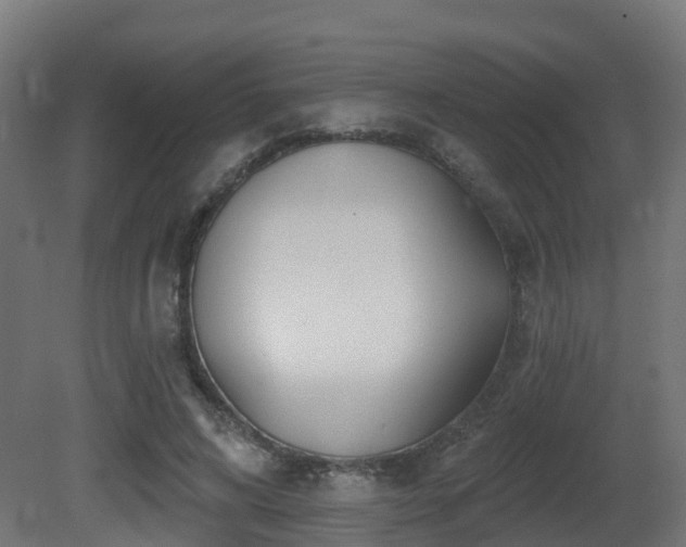 X0000081420592200701121238