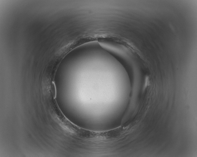 X0000081420593200701121238