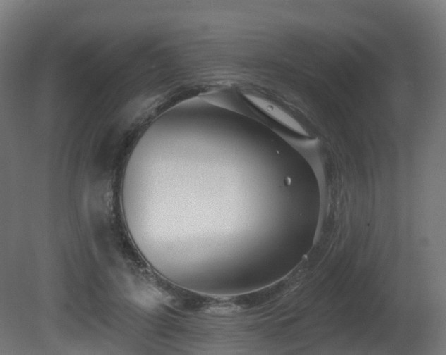 X0000081420595200701121238