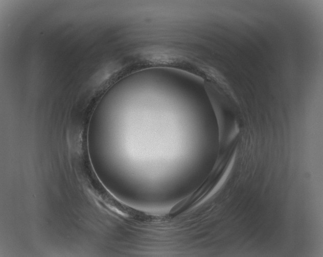 X0000081420596200701121238