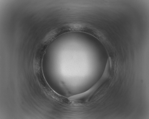 X0000081420599200701121237
