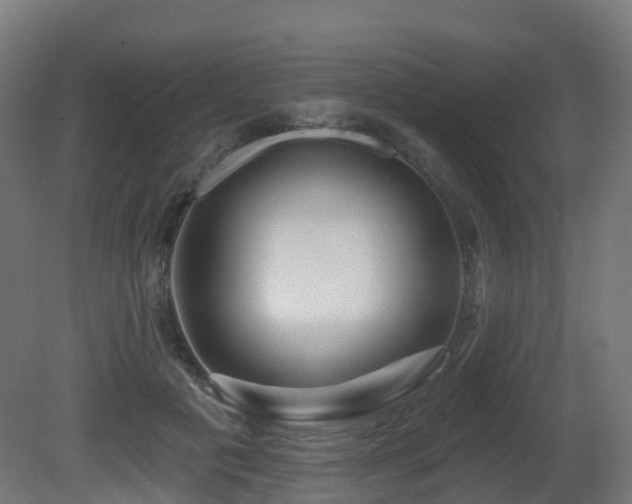 X0000081420601200701121237