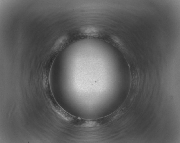 X0000081420609200701121237