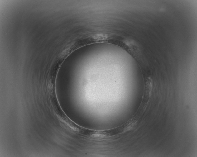 X0000081420614200701121237