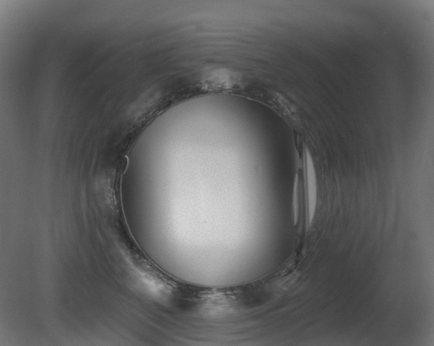 X0000081420616200701121237