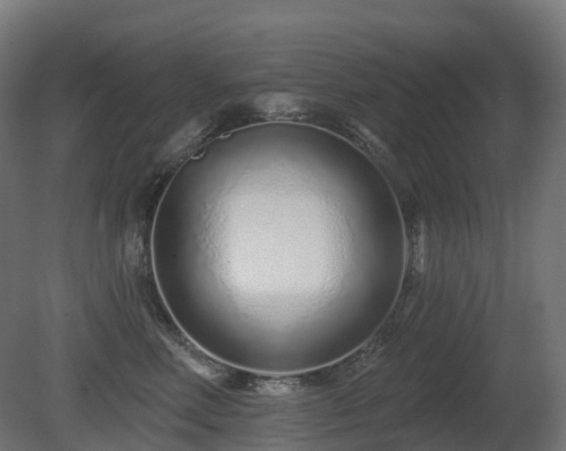 X0000081420618200701121237