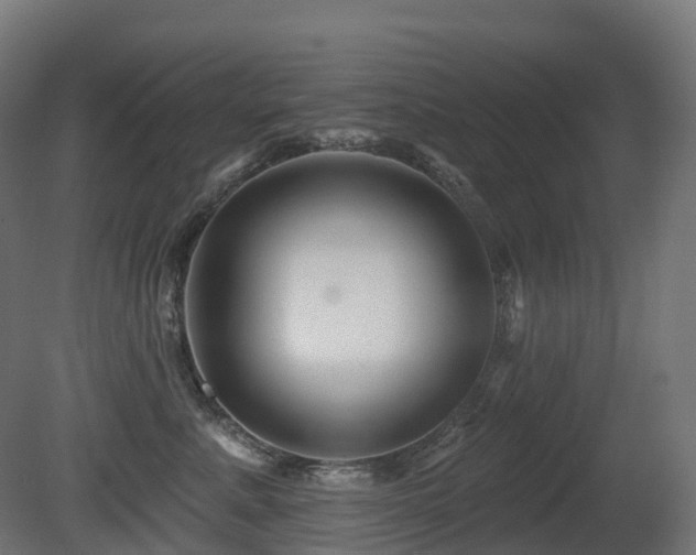 X0000081420619200701121237