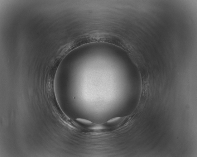 X0000081420623200701121237