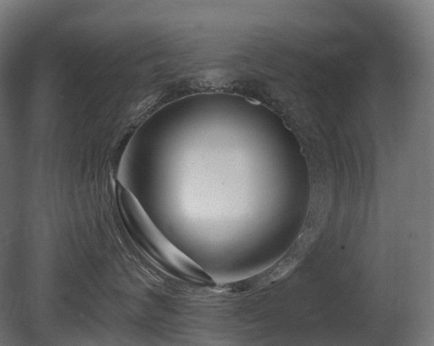 X0000081420624200701121237