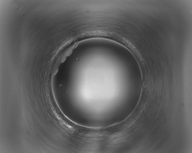 X0000081420625200701121236
