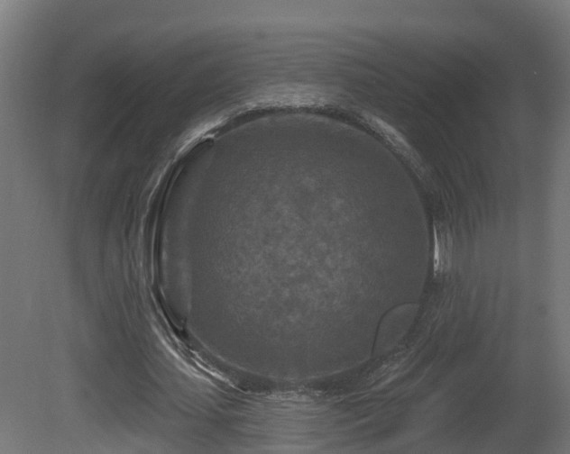 X0000081420627200701121236