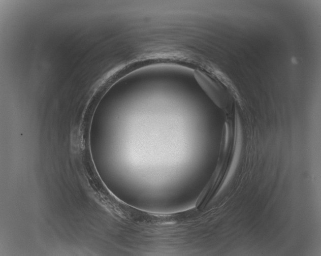 X0000081420628200701121236