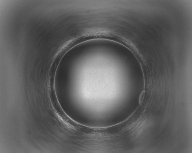 X0000081420629200701121236