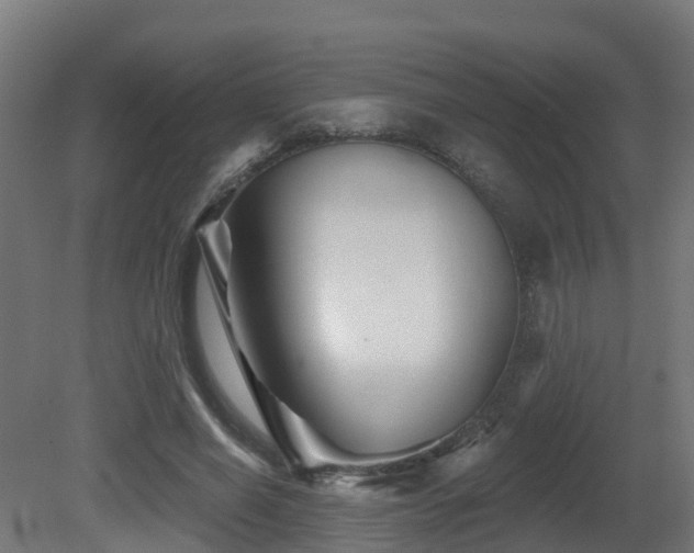 X0000081420638200701121236