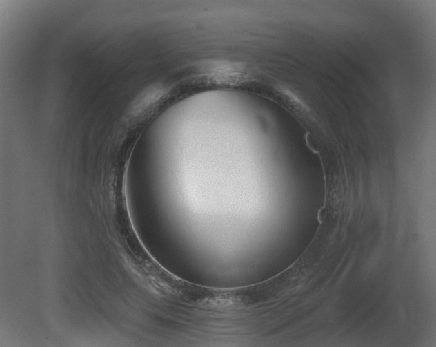 X0000081420639200701121236