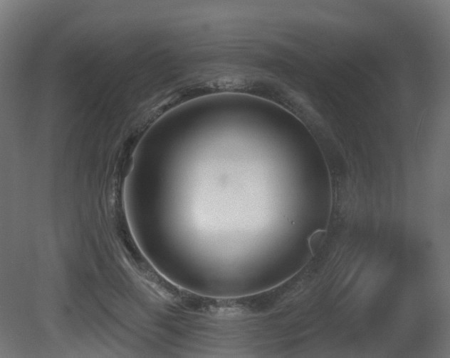 X0000081420645200701121237