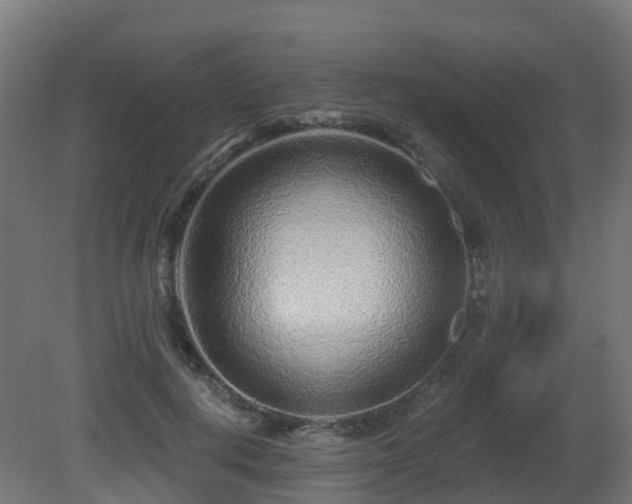 X0000081420648200701121237
