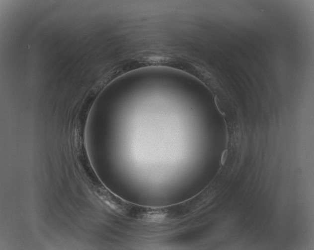 X0000081420651200701121237