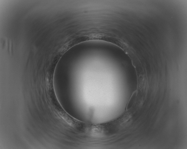 X0000081420655200701121237