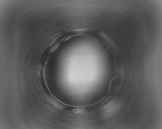 X0000081420660200701121237