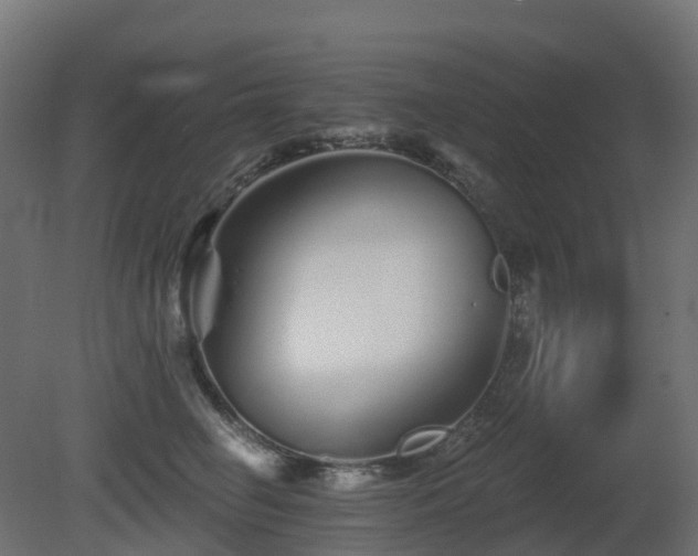 X0000081420662200701121237