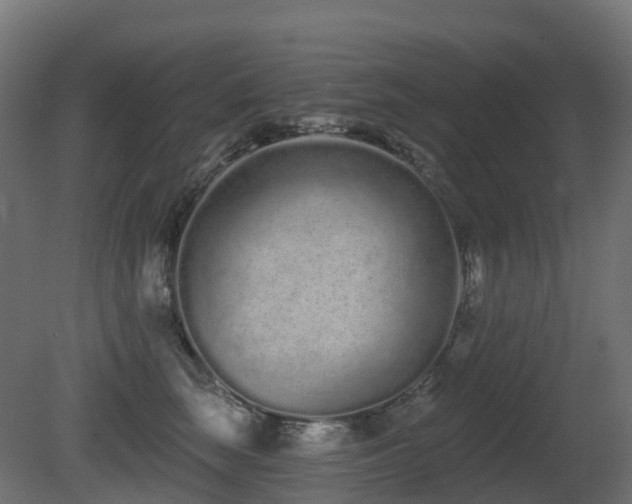 X0000081420663200701121237
