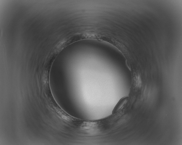 X0000081420665200701121237