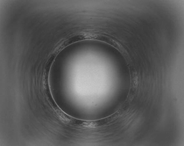 X0000081420667200701121237