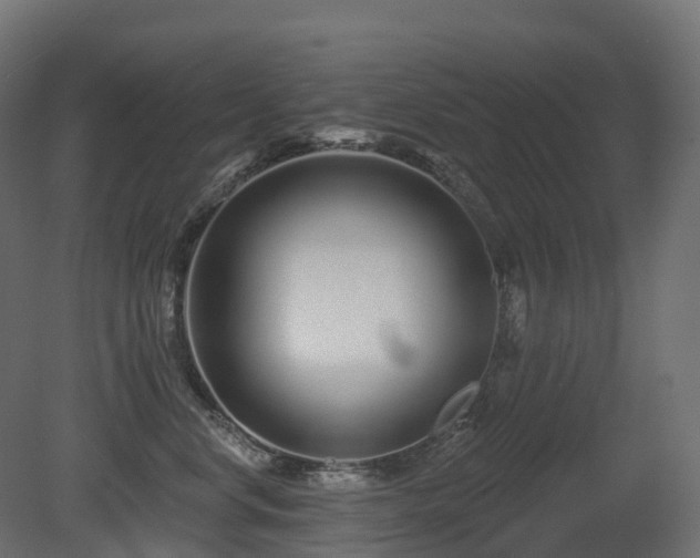 X0000081420668200701121237