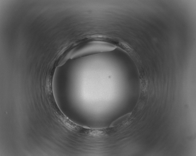 X0000081420669200701121237