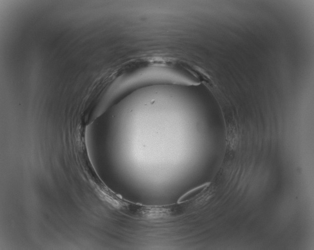 X0000081420670200701121237