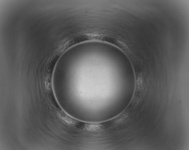 X0000081420671200701121237