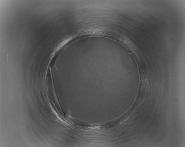 X0000081420674200701121236