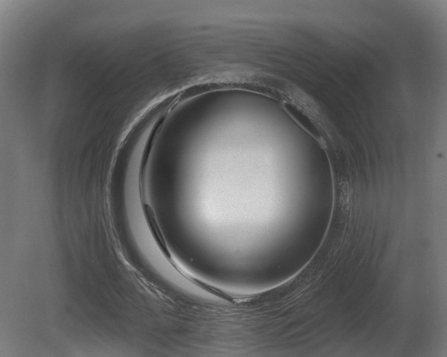 X0000081420676200701121236
