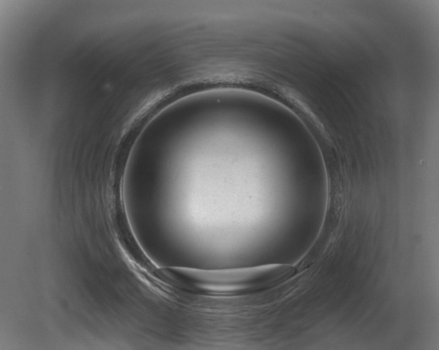 X0000081420677200701121236