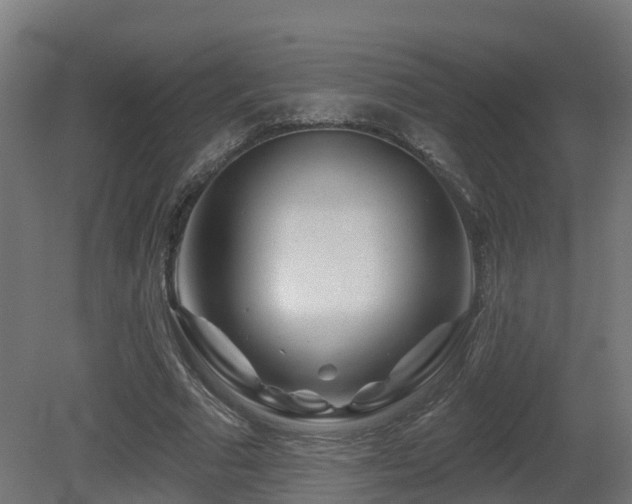 X0000081420681200701121236