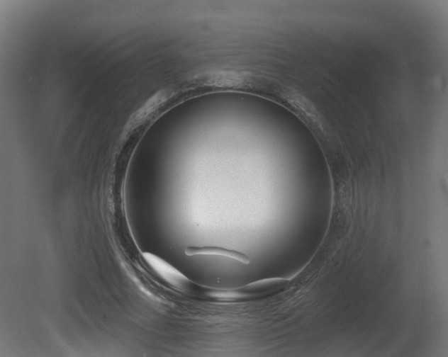 X0000081420682200701121236