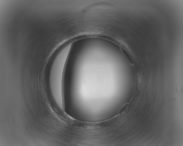 X0000081420684200701121236