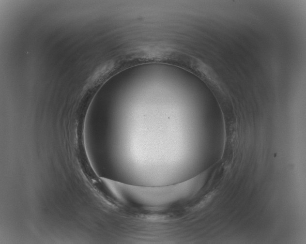 X0000081420685200701121236