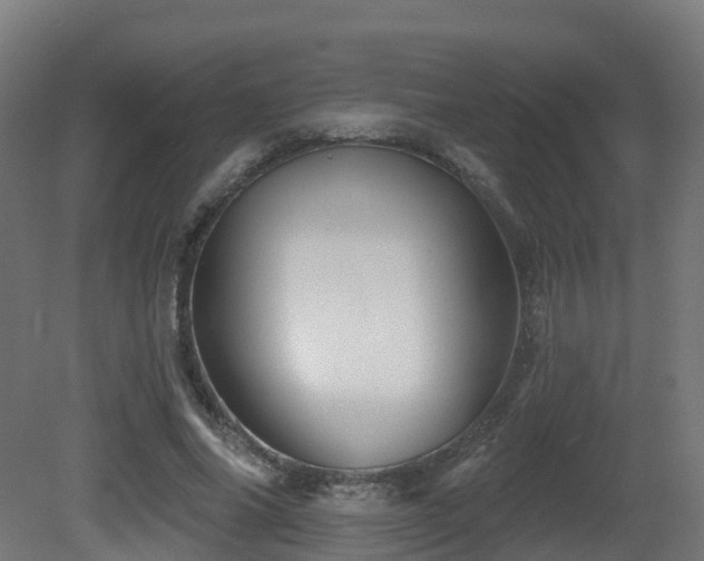 X0000081420686200701121236